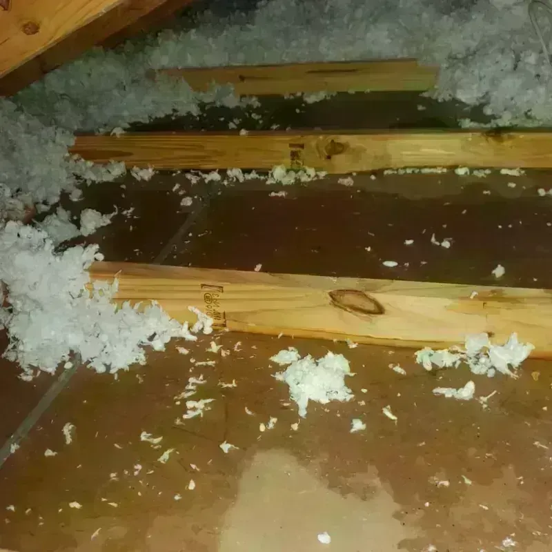 Attic Water Damage in Quinlan, TX