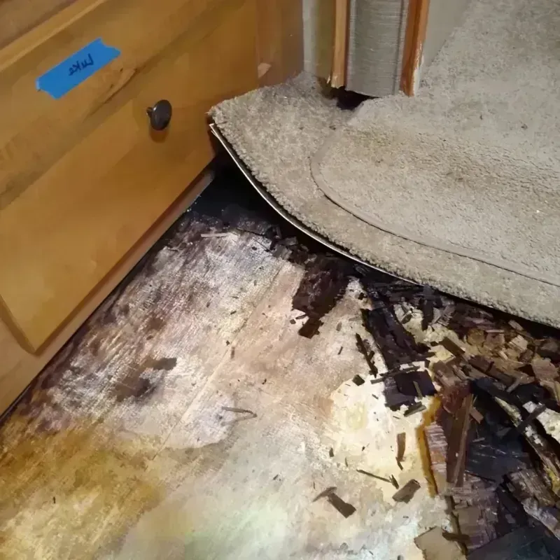 Wood Floor Water Damage in Quinlan, TX